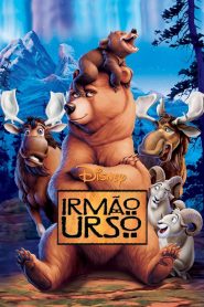 Irmão Urso